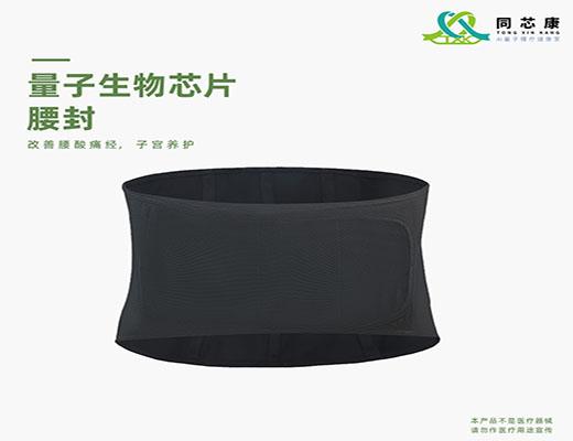 同芯康量子腰封